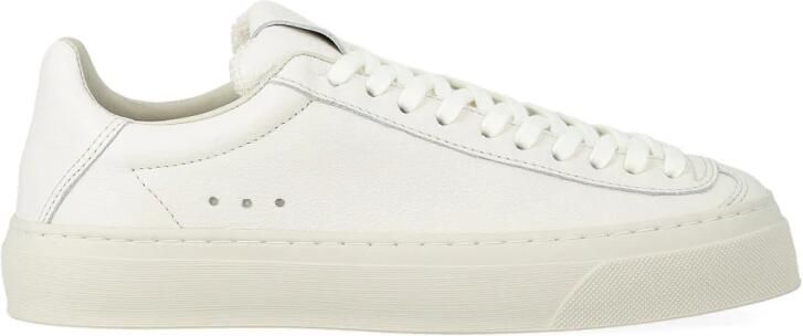 Aqua Alta Doge Sneaker