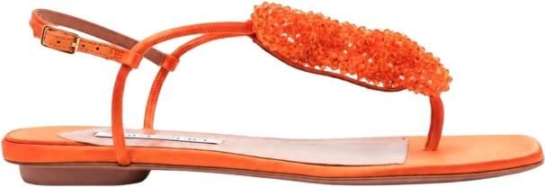 Aquazzura Flip Flops