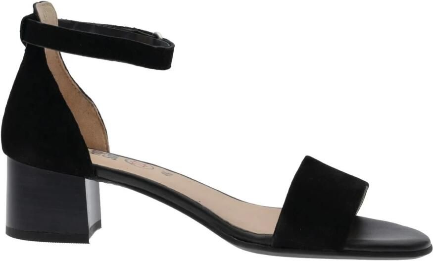 Ara Zwarte Sandalen met Bandjes voor Dames