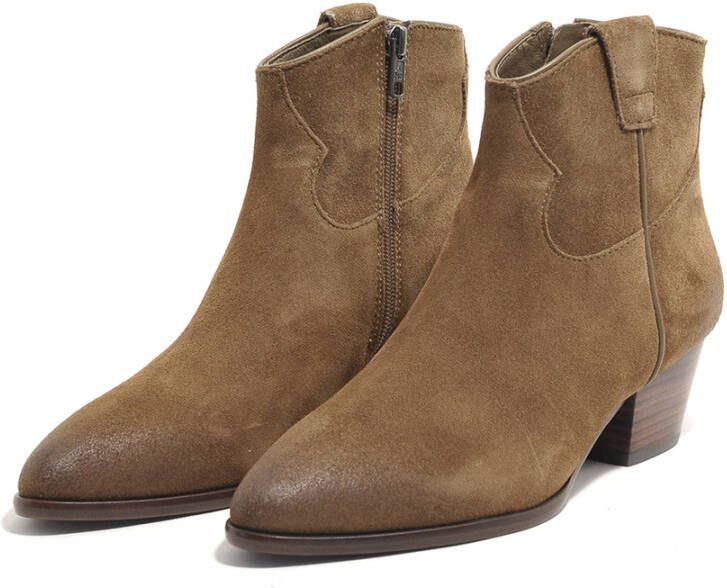 Ash Ankle Boots Bruin Dames