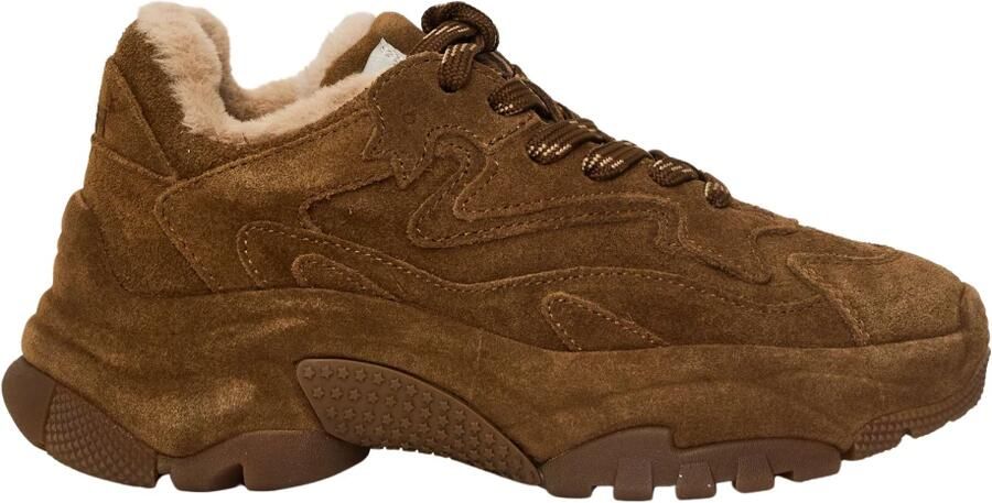 ASH Addict Bis Fur Sneakers