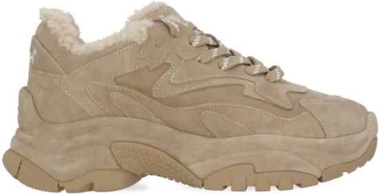 ASH Addict Bis Sneaker