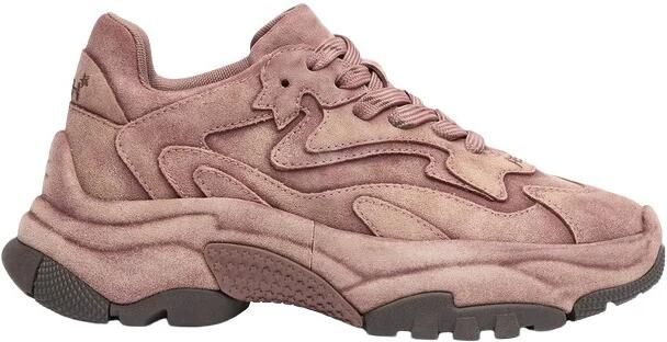 ASH Addict Bis Sneaker