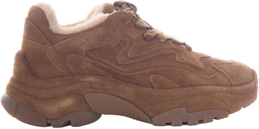 ASH Addict Bis Sneakers