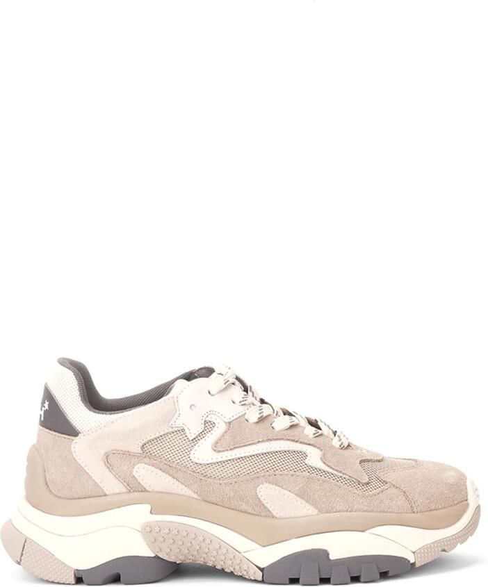 ASH Addict Chunky Dad Sneaker