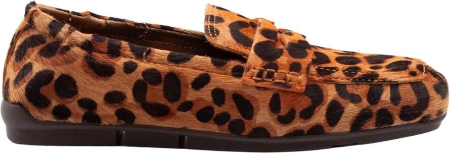 ASH Barkley Loafer
