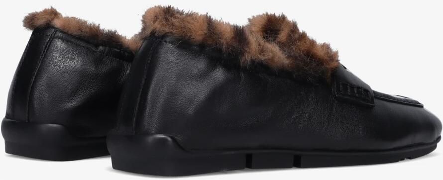 Ash Mocassins BARKELY FUR - Foto 5