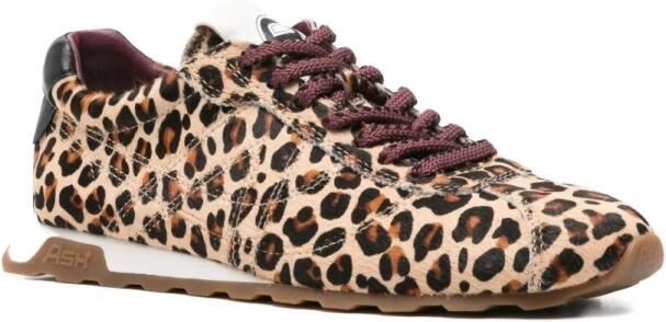 ASH Bruine Sneakers voor Stijlvolle Outfits - Foto 3
