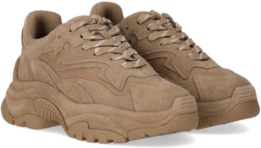 ASH Italia dames sneaker Addict Bis suède beige - Foto 2