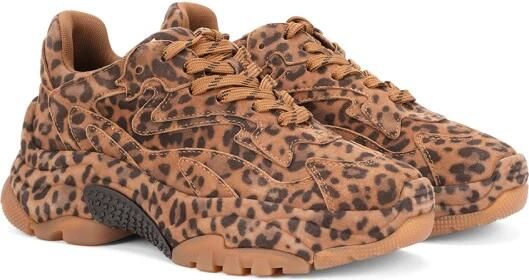 ASH Italia dames sneaker Addict Bis suède leopardprint