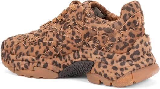 ASH Italia dames sneaker Addict Bis suède leopardprint - Foto 4