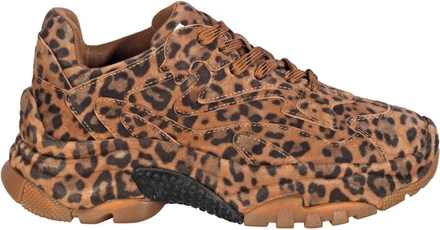 ASH Sneakers Addict Bis