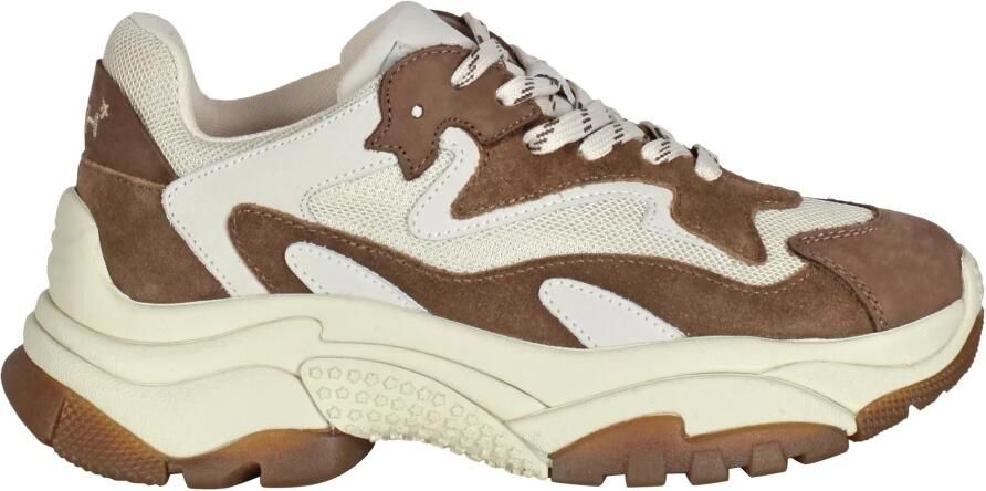 ASH Sneakers Addict