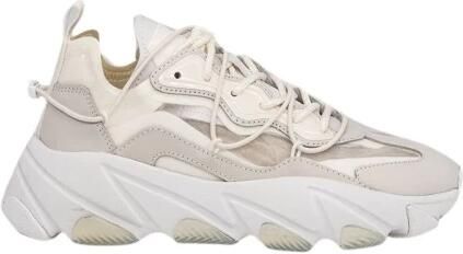 ASH Sneakers