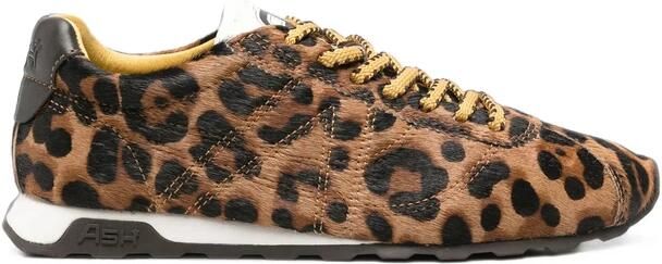 ASH Sneakers
