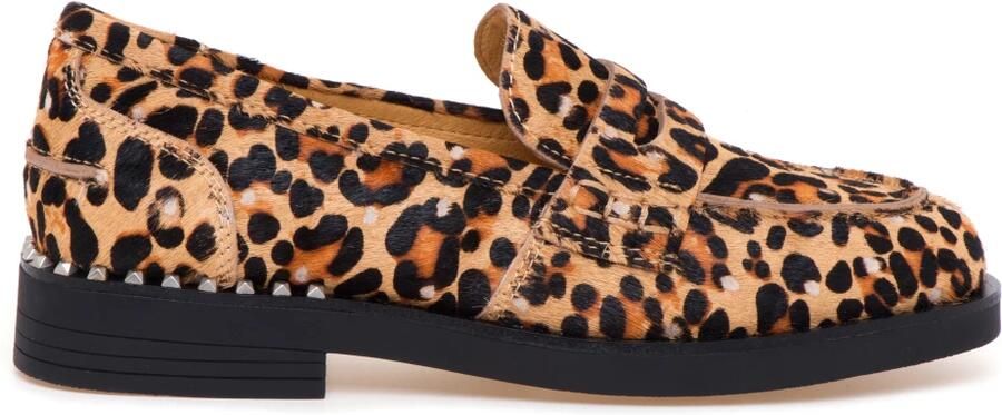 ASH Italia dames moccassins winona daim leopard