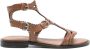 ASH Bruine Leren Sandalen voor Vrouwen - Thumbnail 1