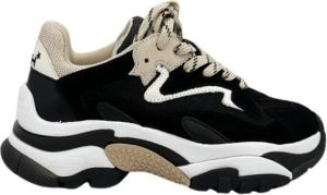 Ash Dames Sneaker in Zwart en Beige Zwart Dames