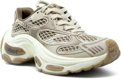ASH F25-Dragon08 Sneakers