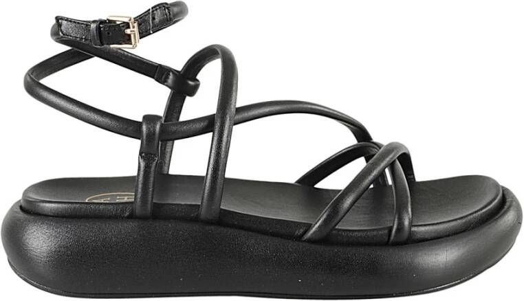 Ash Flat Sandals Black Dames