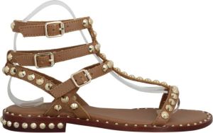 Ash Flat Sandals Bruin Dames