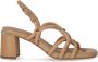 Ash Sandalen Jasmine Skin Heeled Sandal in bruin - Thumbnail 1