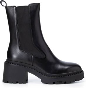 Ash Boots & laarzen Nico in black
