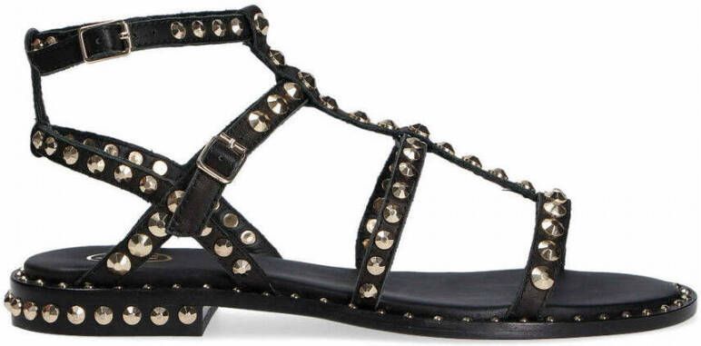 Ash Low model sandal Preacious01 2 Zwart Dames