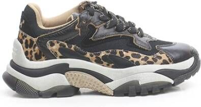 ASH Luipaardprint leren sneakers Addict