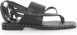 Ash Sandalen Medusa Stud 01 Sandals in black