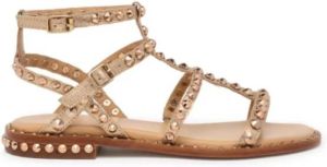 Ash Sandaal Beige Dames