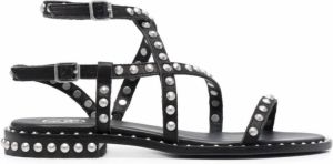 Ash Sandalen Zwart Dames