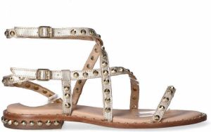 Ash Stenen schoenen Grijs Dames