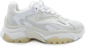 Ash Sneakers Addict in white