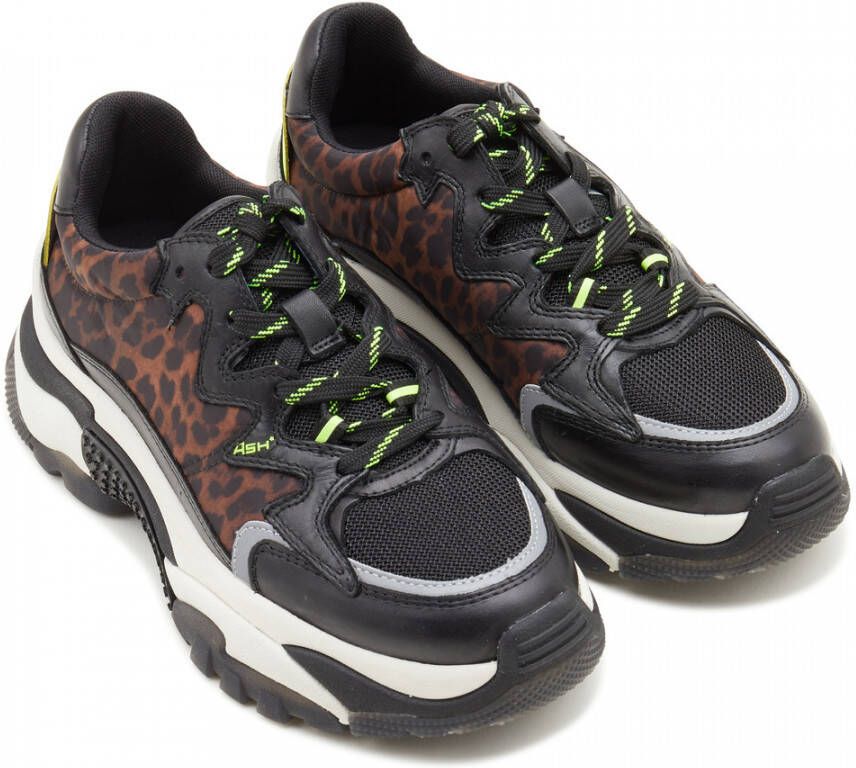 Ash Sneakers with Leo pattern Zwart Dames - Schoenen.nl
