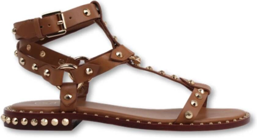 Ash Studded Gladiator Sandals Brown Dames