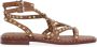 Ash Trendy Sandalen voor de Zomer Brown Dames - Thumbnail 1