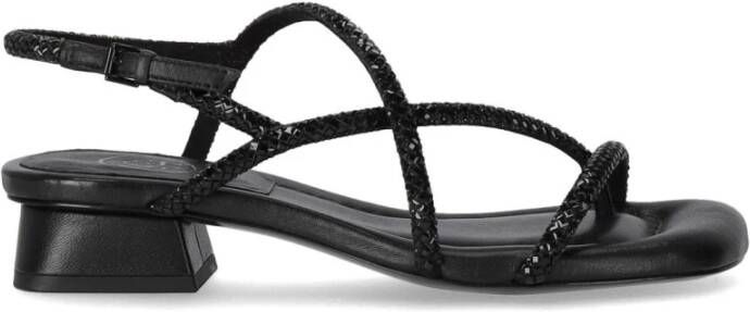 Ash Sandalen Isla Black Mid-Heeled Sandal in zwart
