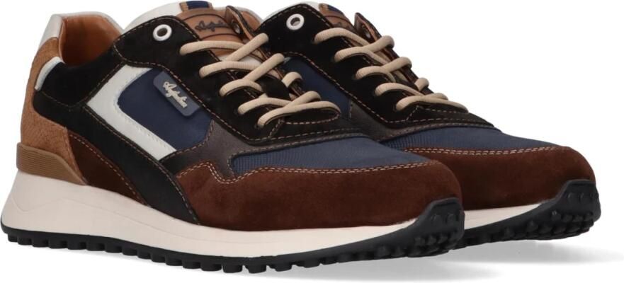 Australian Yamato blue brown tan multi blauw - Foto 6