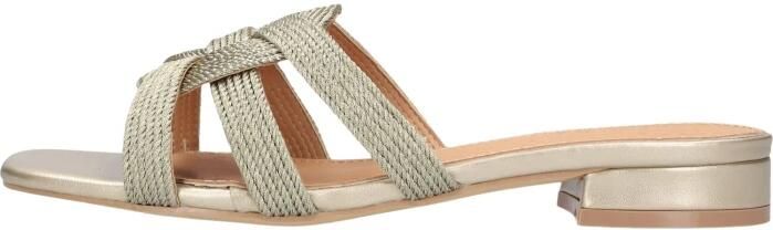 AYANA Slippers Dames 0667-10 Textiel Goudkleurig - Foto 6