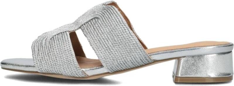 Ayana Chique Metallic Slippers