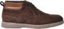 Baldinini Dark brown suede leather ankle boots - Thumbnail 1