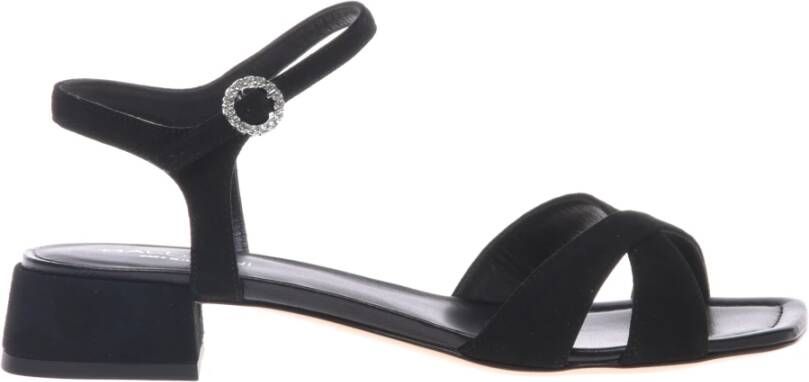 Baldinini Sandal in black suede