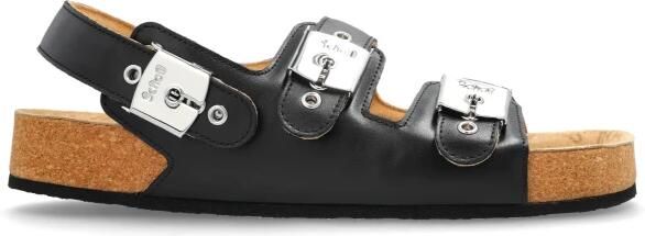 Balenciaga x Scholl