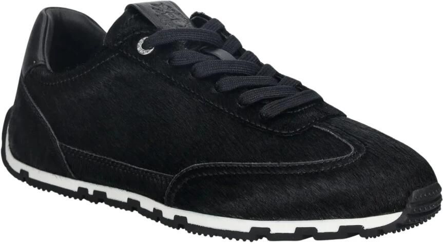 Bally Quarry Sneakers