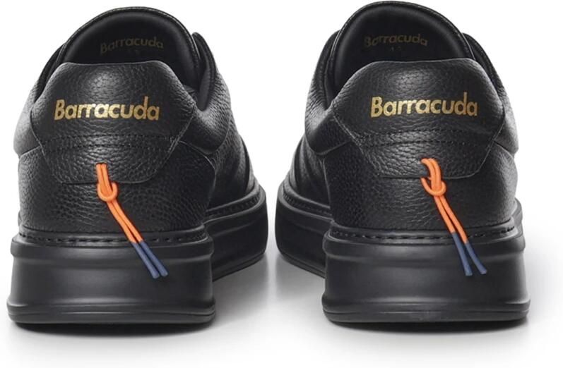 Barracuda Phoenix - Foto 2