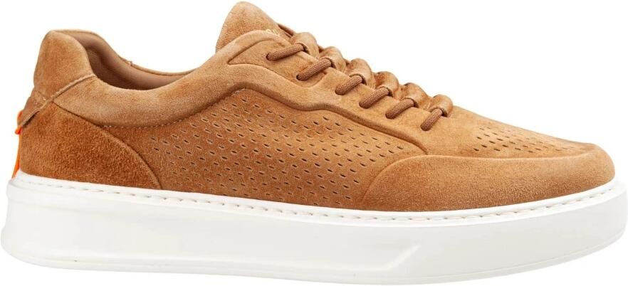 Barracuda Phoenix Slip-On Sneaker