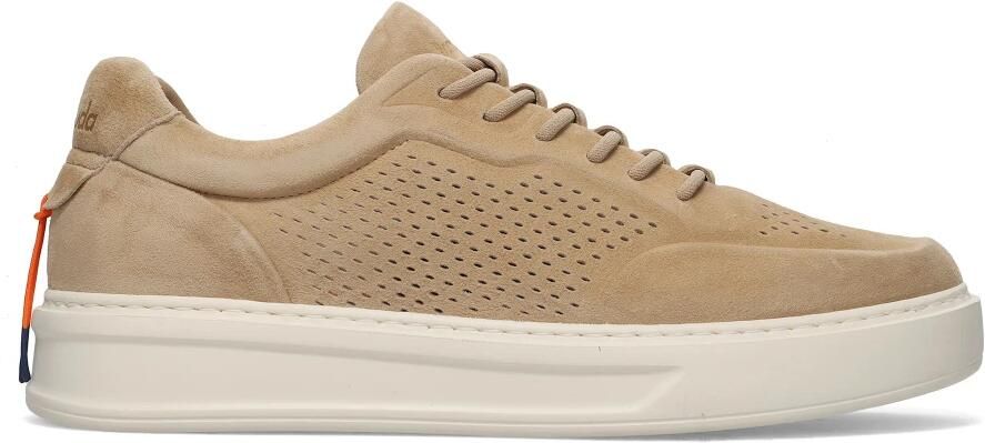 Barracuda Phoenix Sneaker