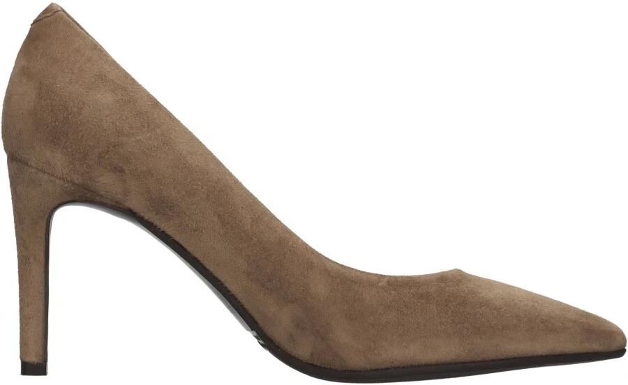 Barracuda Suede Pump