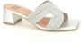 Bibi Lou Zilver Raffia Muil Sandaal Gray Dames - Thumbnail 1